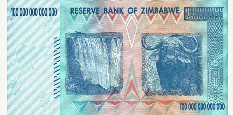 Back of a genuine 2008 Zimbabwe 100 trillion dollar note, with Victoria Falls and a buffalo
